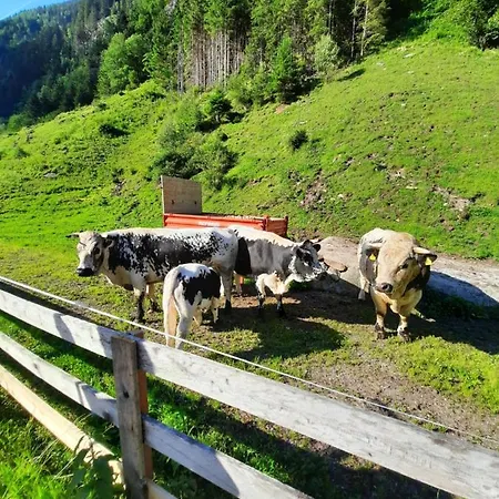 Fogadó Haeusling Alm Mayrhofen