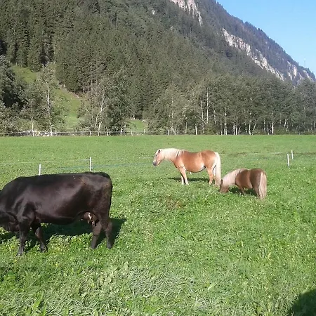 Haeusling Alm Fogadó Mayrhofen