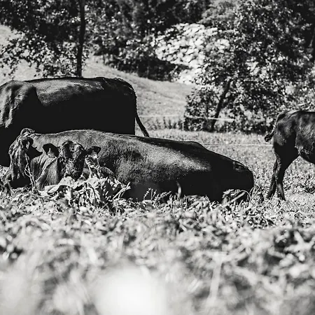 Fogadó Haeusling Alm