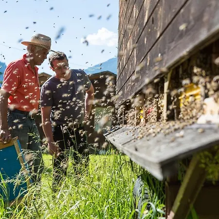 Fogadó Haeusling Alm Mayrhofen