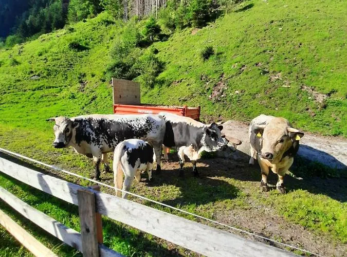 Inn Haeusling Alm Mayrhofen