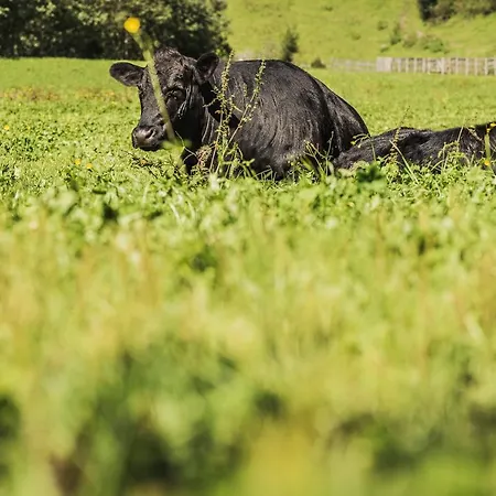 Haeusling Alm Mayrhofen