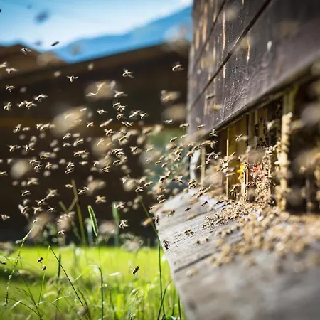 Haeusling Alm Estalagem Mayrhofen